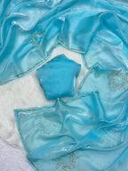 Elegant Floral Tabi Organza Saree with Cut Dana Handwork