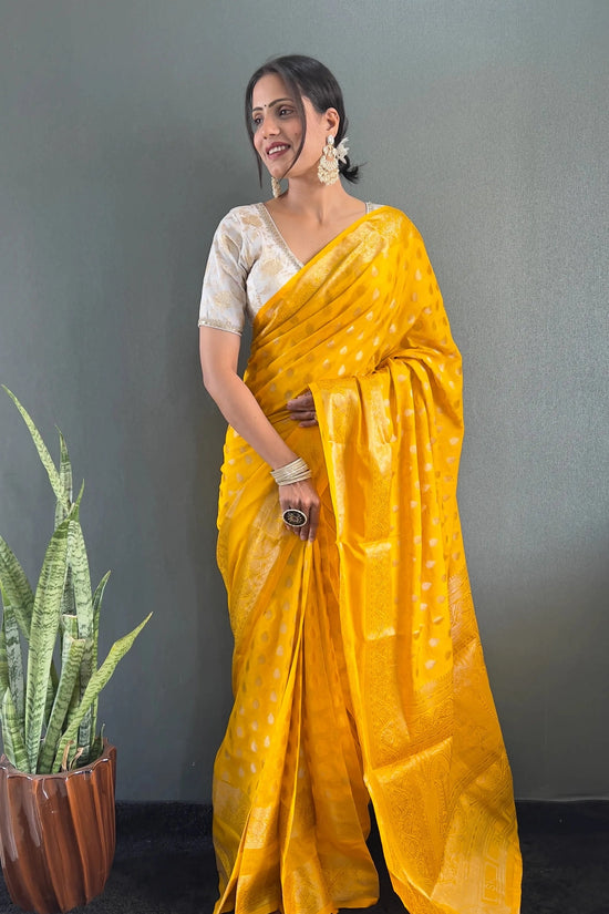 Ready to Wear Pure Banarasi Georgette Saree With Ready Made Blouse